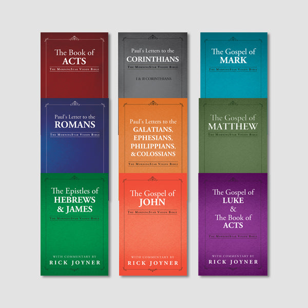 MorningStar Vision Bible Series