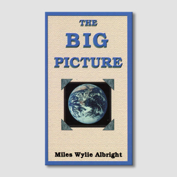 The Big Picture