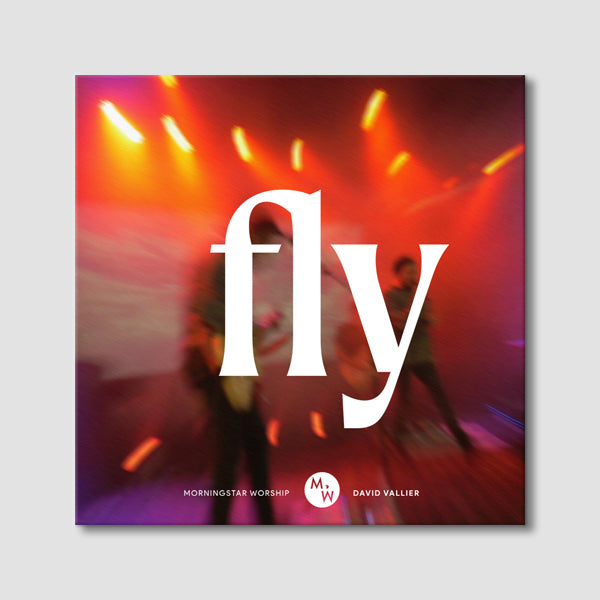 Fly (Single)