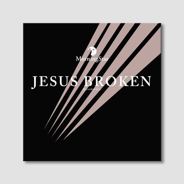 Jesus Broken